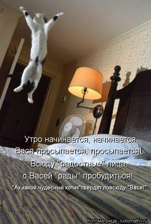 Котоматрица: Утро начинается, начинается. Вася просыпается, просыпается! Всюду "радостные" лица,   с Васей "рады" пробудиться!  "Ах,какой чудесный котик"тве