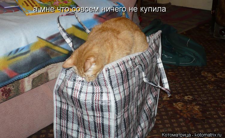 Котоматрица: а мне что совсем ничего не купила