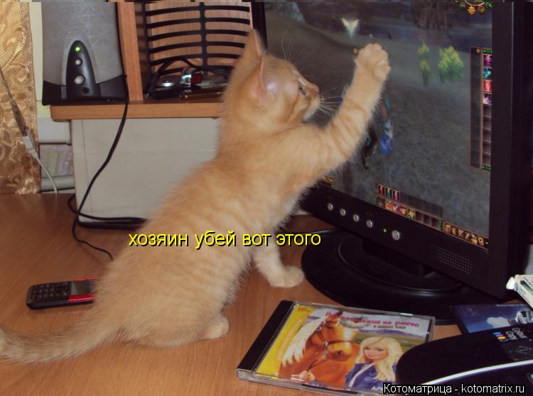 Котоматрица: хозяин убей вот этого