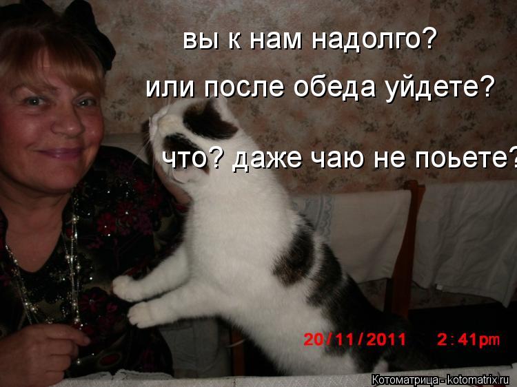 Котоматрица: вы к нам надолго? или после обеда уйдете? что? даже чаю не поьете?