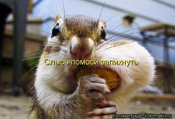 Котоматрица: Слысь помоси запихнуть