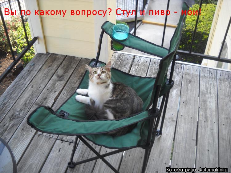 Вы по какому вопросу? Стул и пиво - мои! Вы по какому вопросу? Стул и пиво - мои!... Котоматрица: Вы по какому вопросу? Стул и пиво - мои! Вы по какому вопросу? Стул и пиво - мои!