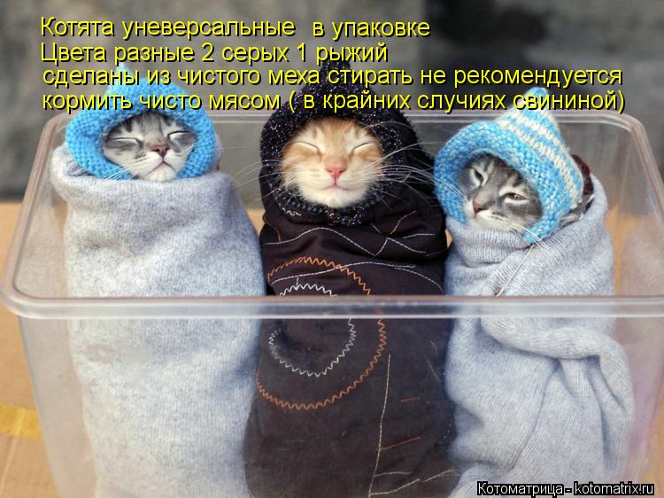 Котоматрица: Котята уневерсальные в упаковке Цвета разные 2 серых 1 рыжий сделаны из чистого меха стирать не рекомендуется кормить чисто мясом ( в крайни