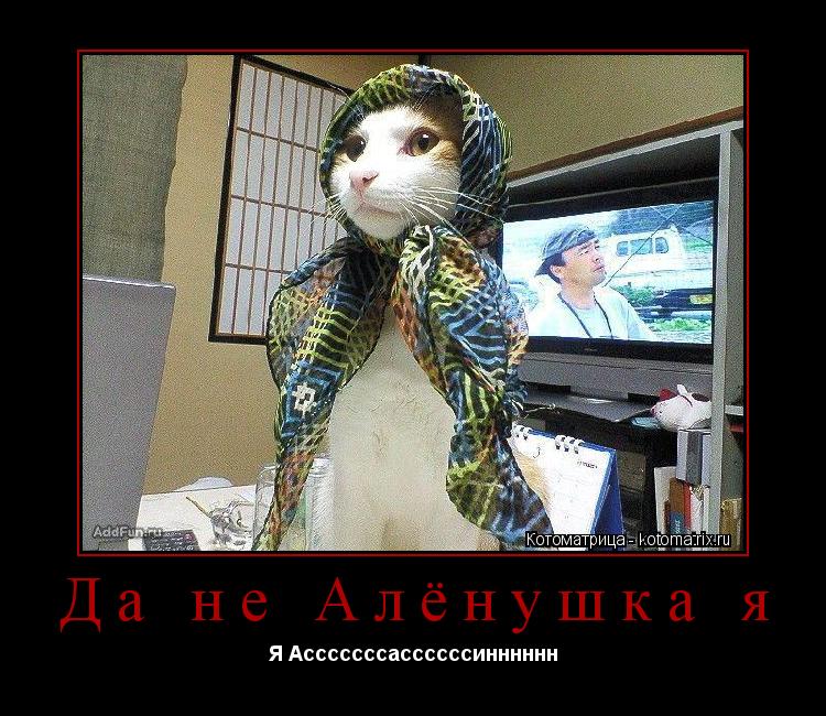 Котоматрица:  Да не Алёнушка я Я Асссссссассссссинннннн