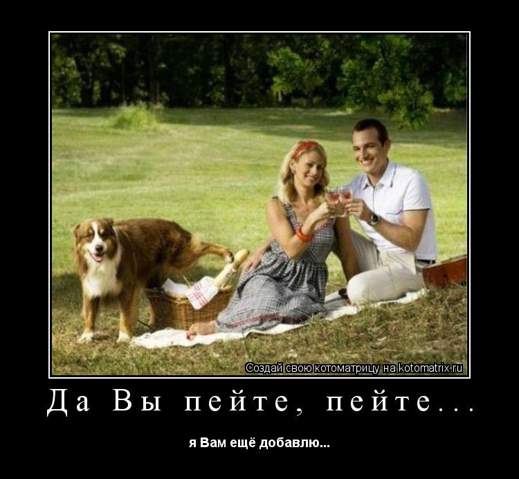 Котоматрица: Да Вы пейте, пейте... я Вам ещё добавлю...
