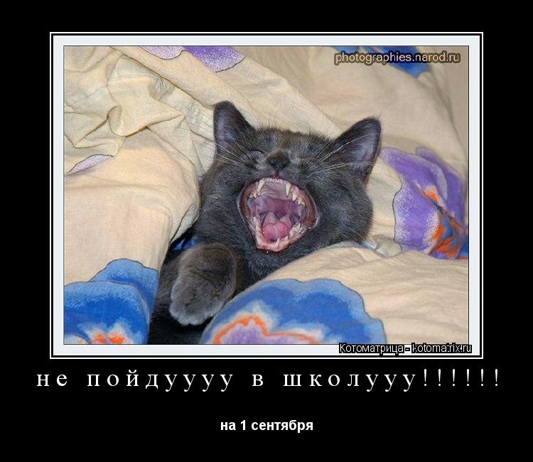 Котоматрица: не пойдуууу в школууу!!!!!! на 1 сентября