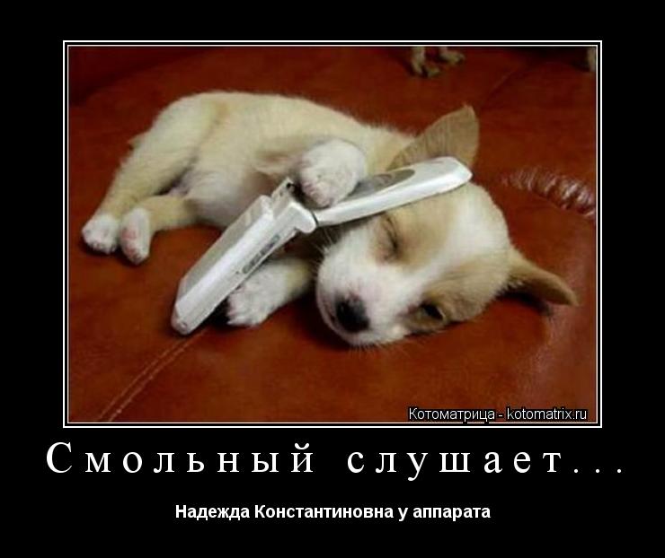 Котоматрица: Смольный слушает... Надежда Константиновна у аппарата