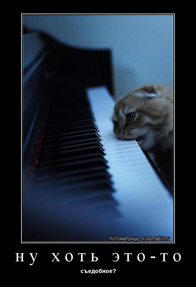 Котоматрица: ну хоть это-то съедобное?