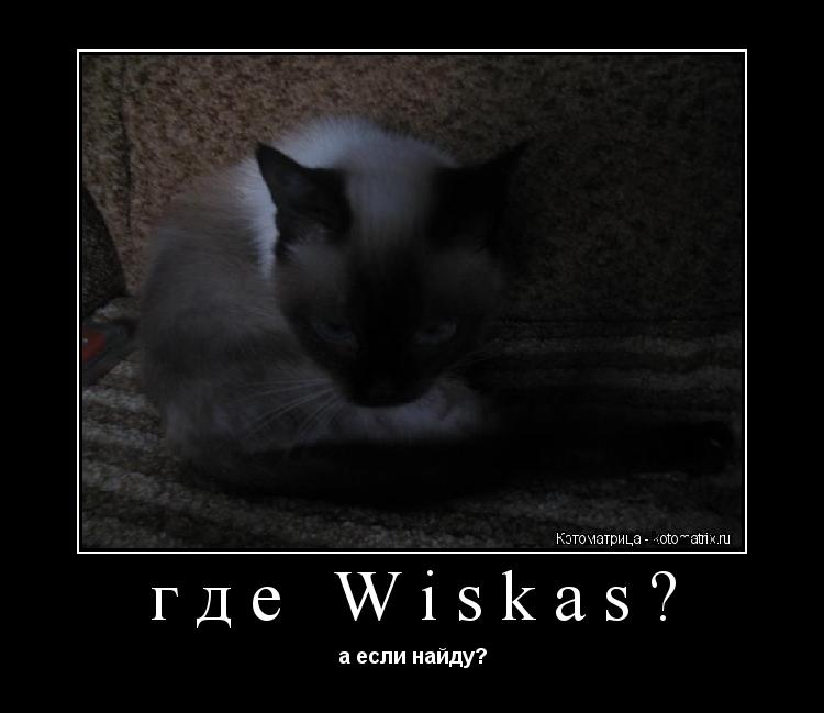 Котоматрица: где Wiskas? а если найду?