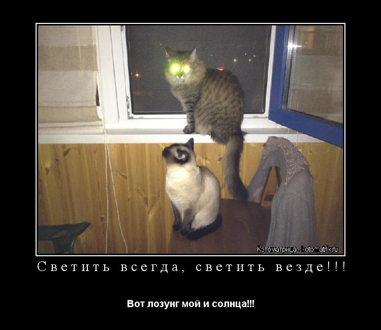 Котоматрица: Светить всегда, светить везде!!! Вот лозунг мой и солнца!!!