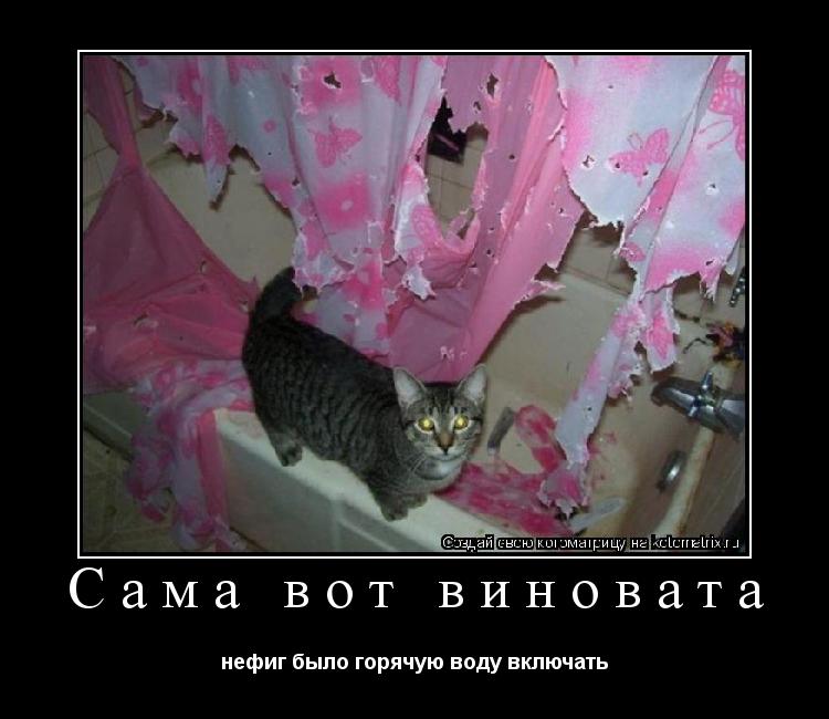 Котоматрица: Сама вот виновата нефиг было горячую воду включать