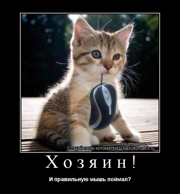 Котоматрица: Хозяин!  И правильную мышь поймал?