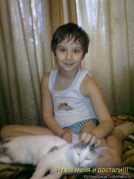 Котоматрица: Ну вы меня и достали!!!
