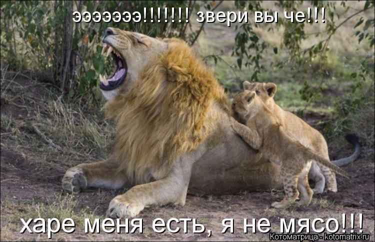 Котоматрица: харе меня есть, я не мясо!!! эээээээ!!!!!!! звери вы че!!!