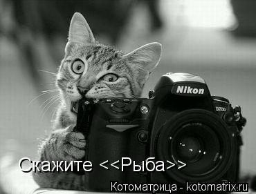 Котоматрица: Скажите <<Рыба>>