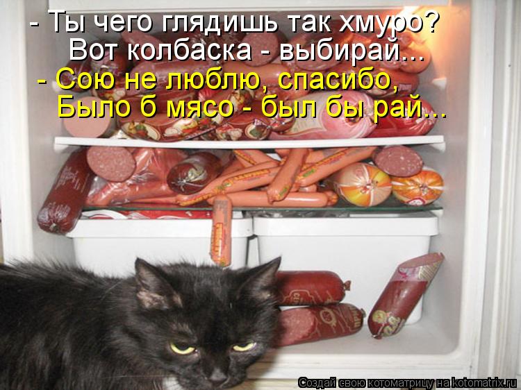 - Ты чего глядишь так хмуро? Вот колбаска - выбирай... - Сою не люблю, спасибо, Было б мясо - был бы ... Котоматрица: - Ты чего глядишь так хмуро? Вот колбаска - выбирай... - Сою не люблю, спасибо, Было б мясо - был бы рай...