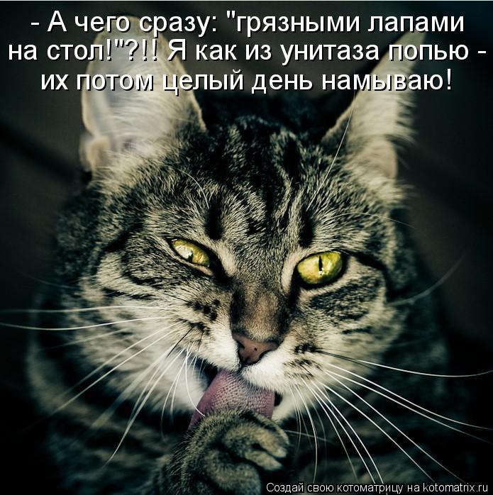 Котоматрица: - А чего сразу: "грязными лапами на стол!"?!! Я как из унитаза попью -  их потом целый день намываю!