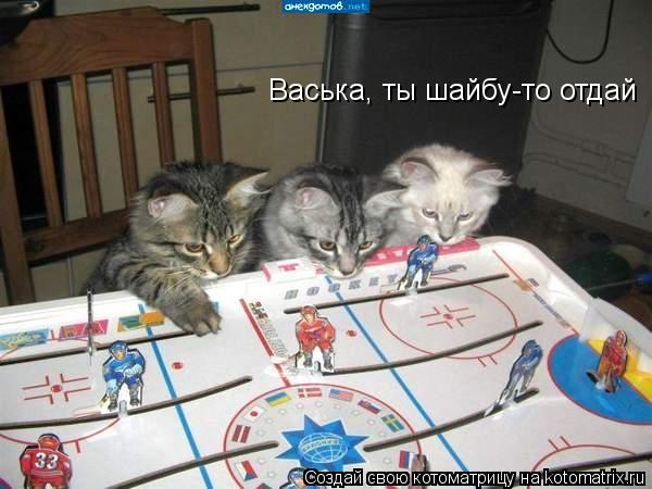 Котоматрица: Васька, ты шайбу-то отдай