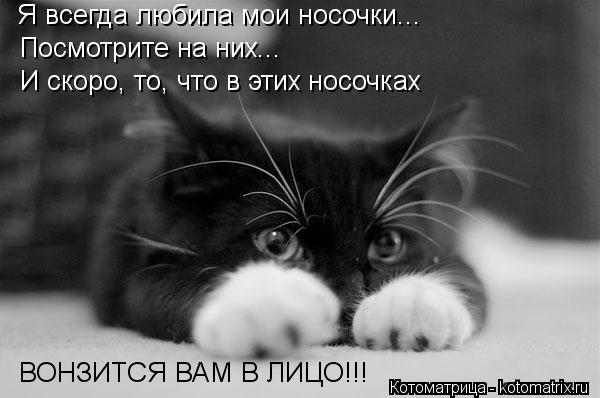 Котоматрица: Я всегда любила мои носочки... Посмотрите на них... И скоро, то, что в этих носочках ВОНЗИТСЯ ВАМ В ЛИЦО!!!