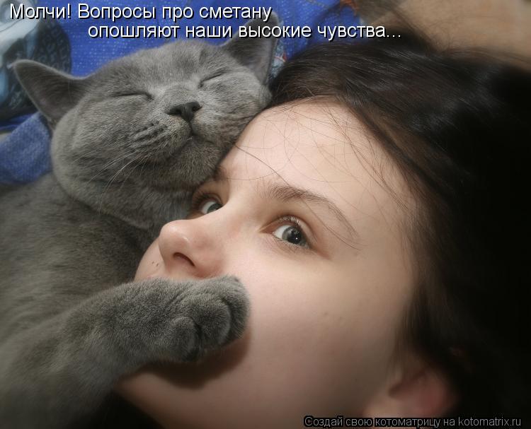 Котоматрица: Молчи! Вопросы про сметану  опошляют наши высокие чувства...