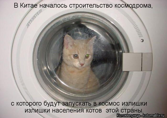 Котоматрица: В Китае началось строительство космодрома,  с которого будут запускать в космос излишки   излишки населения котов  этой страны.