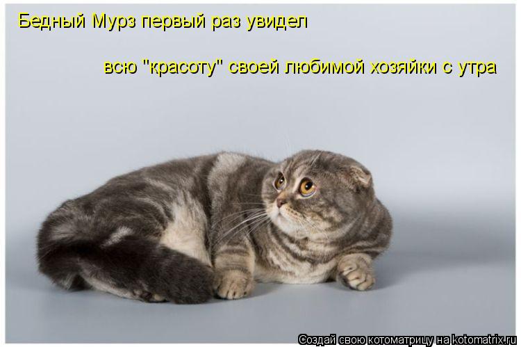 Котоматрица: Бедный Мурз первый раз увидел всю "красоту" своей любимой хозяйки с утра