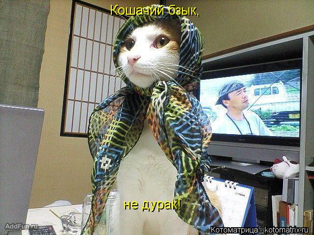 Кошачий бзык, не дурак!... Котоматрица: Кошачий бзык, не дурак!