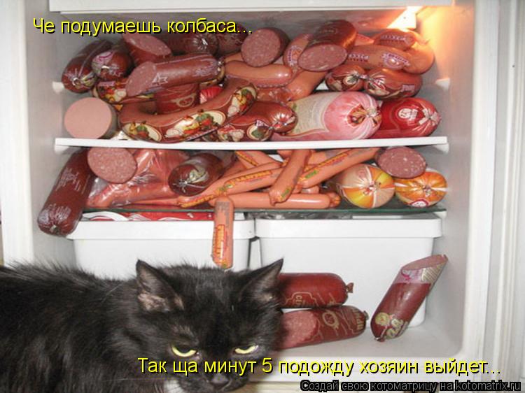 Котоматрица: Че подумаешь колбаса... Так ща минут 5 подожду хозяин выйдет...
