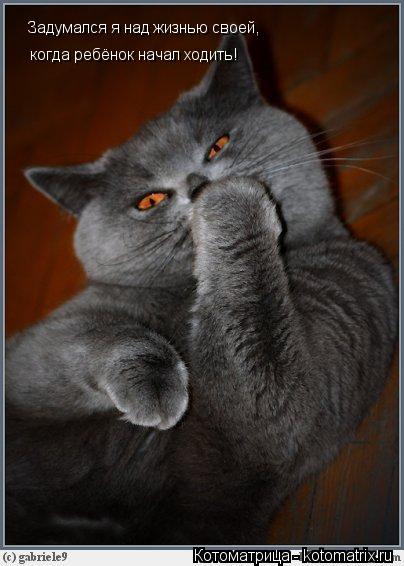 Котоматрица: Задумался я над жизнью своей, когда ребёнок начал ходить!