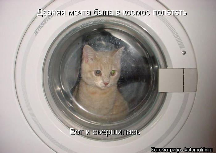Котоматрица: Давняя мечта была в космос полететь  Вот и свершилась
