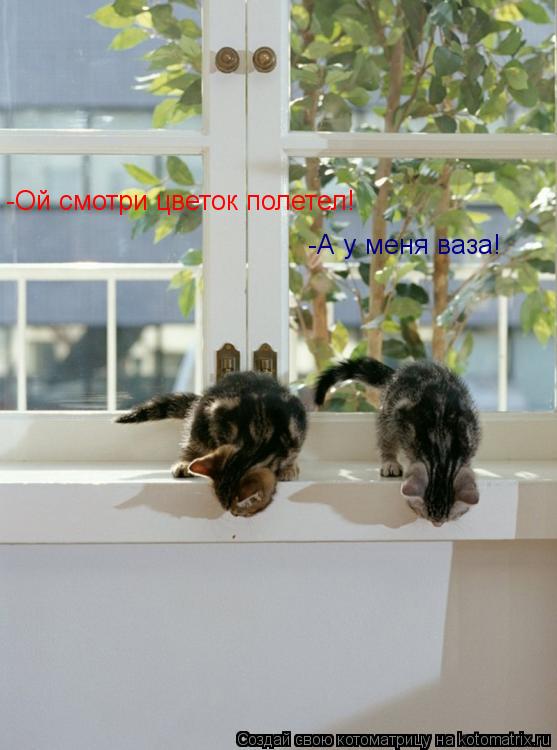 Котоматрица: -Ой смотри цветок полетел! -А у меня ваза!