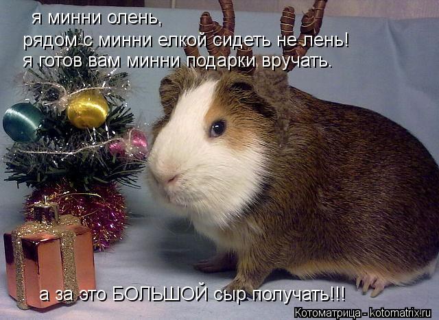 Котоматрица: я минни олень, рядом с минни елкой сидеть не лень! я готов вам минни подарки вручать. а за это БОЛЬШОЙ сыр получать!!!