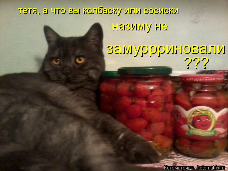 Котоматрица: тетя, а что вы колбаску или сосиски  назиму не замуррриновали ???