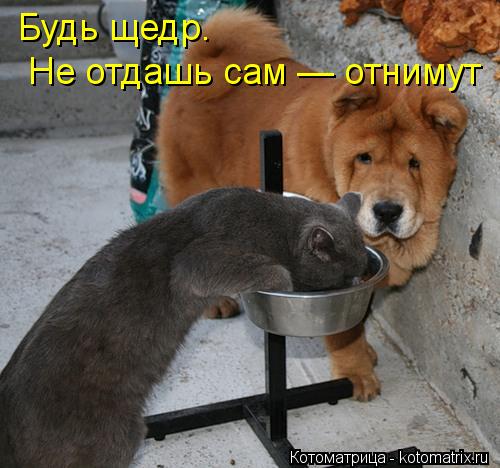Будь щедр. Не отдашь сам — отнимут... Котоматрица: Будь щедр. Не отдашь сам — отнимут
