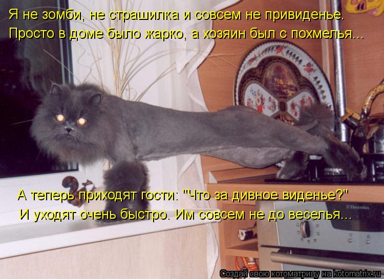 Я не зомби, не страшилка и совсем не привиденье. А теперь приходят гости: "Что за дивное виденье?" Пр... Котоматрица: Я не зомби, не страшилка и совсем не привиденье. А теперь приходят гости: "Что за дивное виденье?" Просто в доме было жарко, а хозяин был с похм