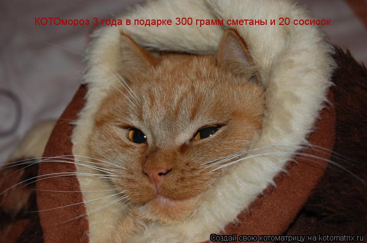Котоматрица: КОТОмороз 3 года в подарке 300 грамм сметаны и 20 сосисок