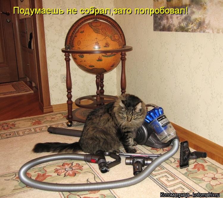 Котоматрица: Подумаешь не собрал,зато попробовал!