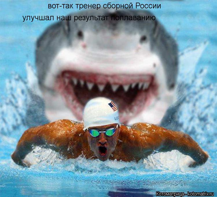 Котоматрица: вот-так тренер сборной России улучшал наш результат поплаванию