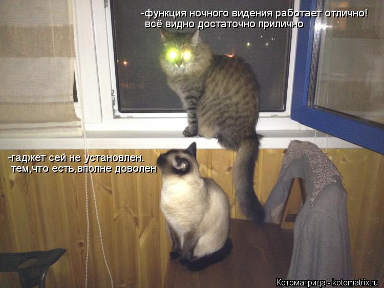 Котоматрица: -функция ночного видения работает отлично! всё видно достаточно прилично -гаджет сей не установлен. тем,что есть,вполне доволен
