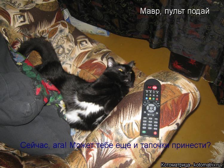 Мавр, пульт подай Сейчас, ага! Может тебе еще и тапочки принести?... Котоматрица: Мавр, пульт подай Сейчас, ага! Может тебе еще и тапочки принести?