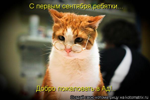 Котоматрица: С первым сентября,ребятки... Добро пожаловать в Ад!..