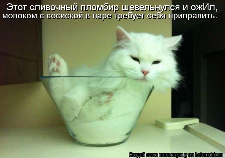 Котоматрица: Этот сливочный пломбир шевельнулся и ожИл, молоком с сосиской в паре требует себя приправить.