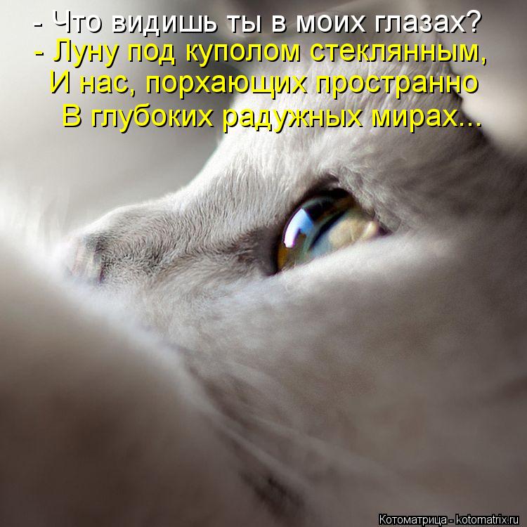 Котоматрица: - Что видишь ты в моих глазах? - Луну под куполом стеклянным, И нас, порхающих пространно В глубоких радужных мирах...