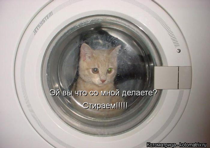Эй вы что со мной делаете? Стираем!!!!!... Котоматрица: Эй вы что со мной делаете? Стираем!!!!!