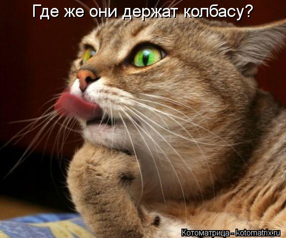 Где же они держат колбасу?... Котоматрица: Где же они держат колбасу?