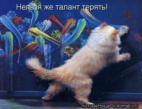 Котоматрица: Нельзя же талант терять! Нельзя же талант терять!