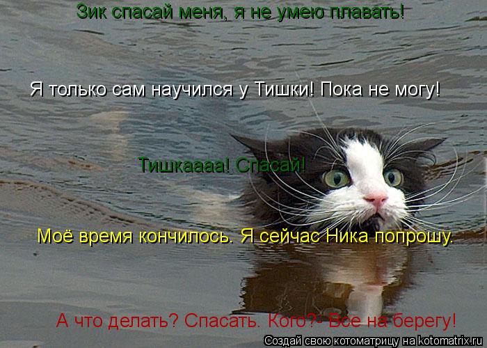 Котоматрица: Зик спасай меня, я не умею плавать! Я только сам научился у Тишки! Пока не могу! Тишкаааа! Спасай! Моё время кончилось. Я сейчас Ника попрошу. А
