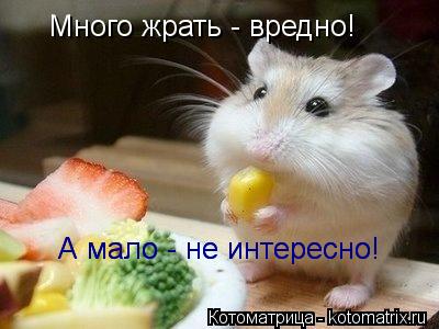 Котоматрица: Много жрать - вредно! А мало - не интересно! А мало - не интересно!