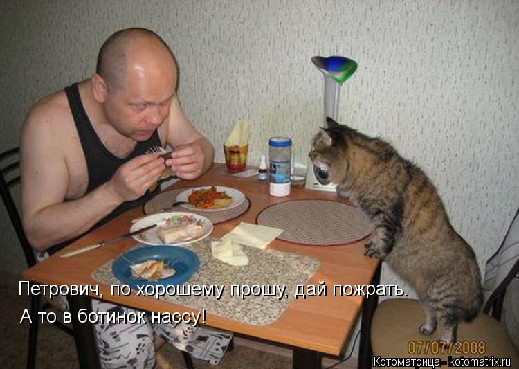 Котоматрица: Петрович, по хорошему прошу, дай пожрать. А то в ботинок нассу Петрович, по хорошему прошу, дай пожрать. А то в ботинок нассу!