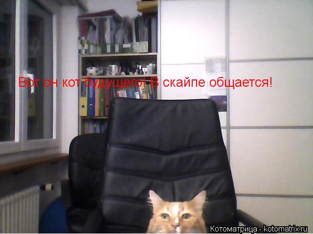 Котоматрица: Вот он кот будущего! В скайпе общается!